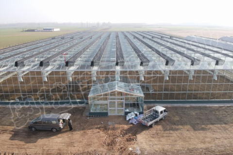 陕西市温室大棚示范基地