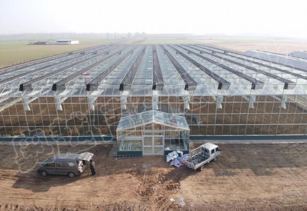 陕西市温室大棚示范基地