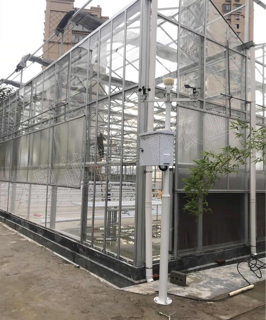 福建龙岩市农业学校智能化玻璃温室大棚