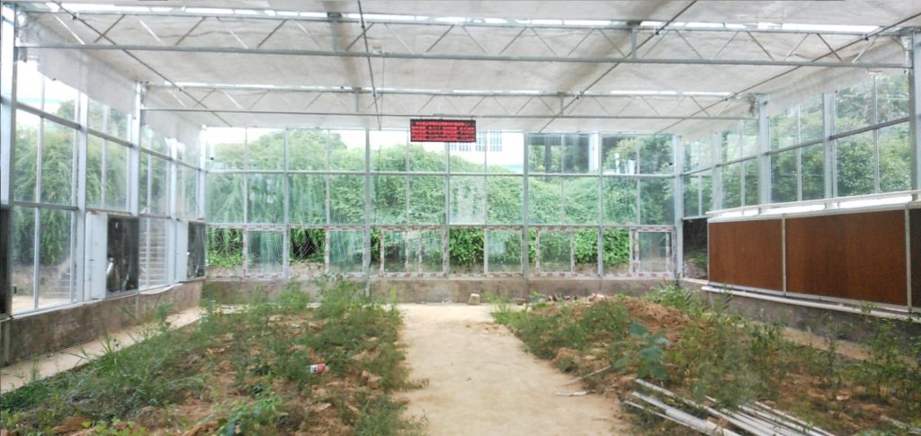 湖南职业技术学院玻璃智能温室大棚项目