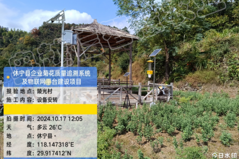 休宁县企业菊花质量追溯系统及物联网平台建设项目案例