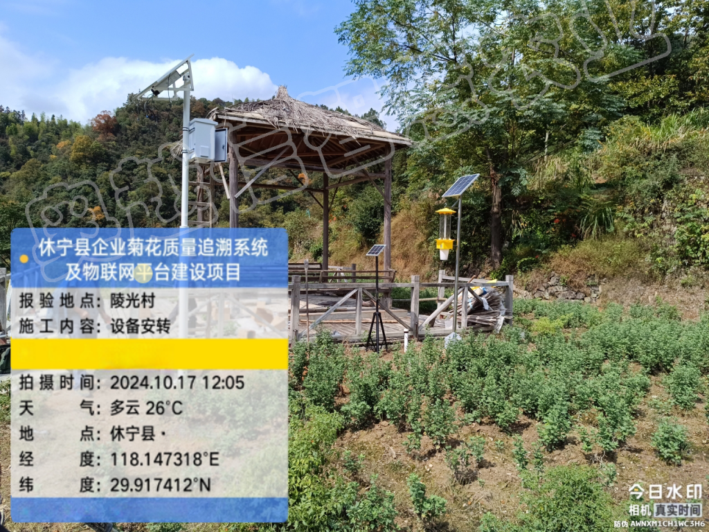 休宁县企业菊花质量追溯系统及物联网平台建设项目案例