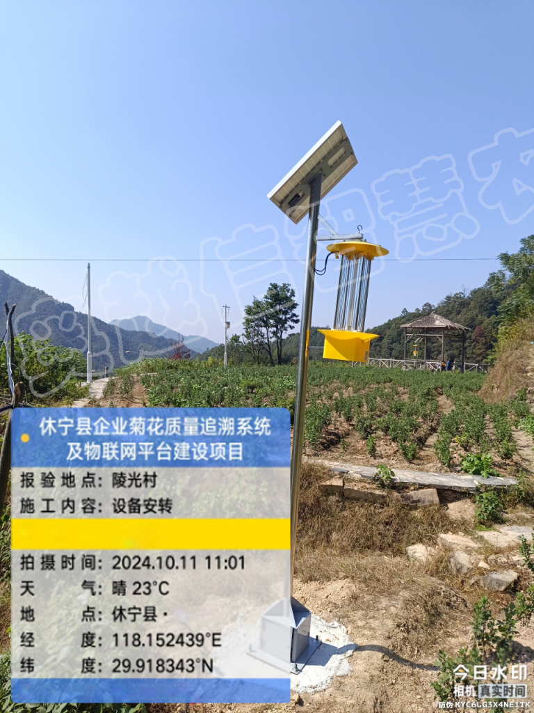 休宁县企业菊花质量追溯系统及物联网平台建设项目案例