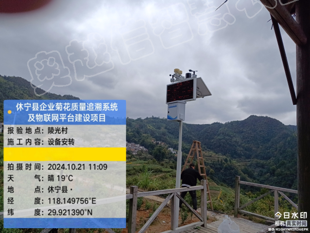 休宁县企业菊花质量追溯系统及物联网平台建设项目案例