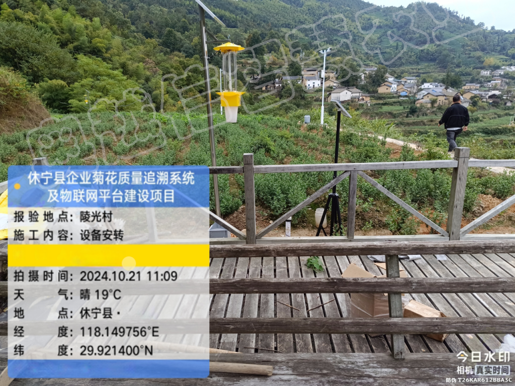 休宁县企业菊花质量追溯系统及物联网平台建设项目案例