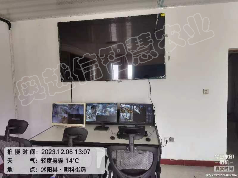 明科蛋鸡养殖场