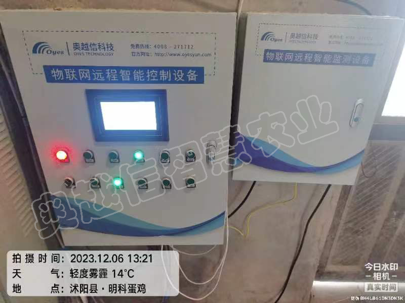 明科蛋鸡养殖场