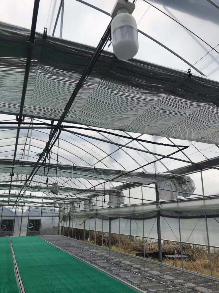 苏州温室智能育苗棚