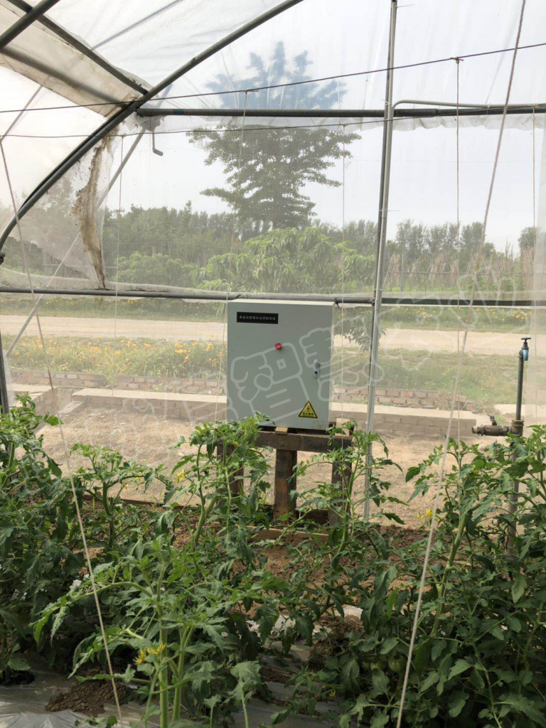 北京蔬菜示范大棚