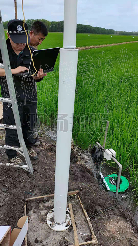 泰安岱岳区高标准农田建设项目