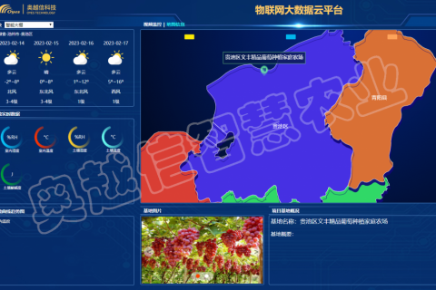 贵池区文丰精品葡萄种植家庭农场