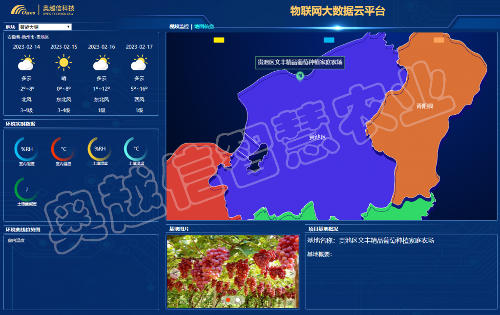 贵池区文丰精品葡萄种植家庭农场