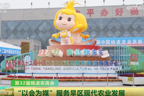 奥越信亮相第32届中国杨凌农高会，助力智能农业新时代